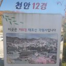 각원사약수 Daum카페
