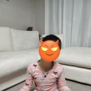 이용기스포츠