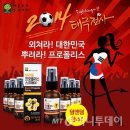 태극중기 이미지