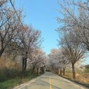 한림안성 이미지