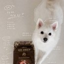 허즈 사료 HERZ 에어드라이사료 후기 입짧던 강아지도 순삭한 기호성사료