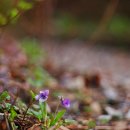 경숙농장 이미지