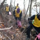 우암산등산로2 이미지