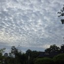 『정조의 AI 에이전트, 다산 정약용』 ㅡ 프롤로그