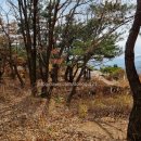황매산기적길 | 합천 황매산 기적길 모산재 등산 황매산관광휴게소 철쭉과 억새사이까지 다녀온 후기