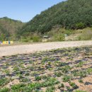 울진공인행정사 이미지