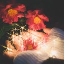 두근두근하우스 in 성산 이미지