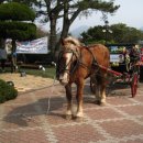 해피레져산업 이미지