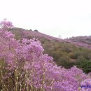 011-금촌1-011 이미지