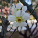 달빛영어학원 이미지