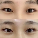 오조뷰티 | 대전 은행동 [오조뷰티]에서 속눈썹펌 받고온 솔직후기