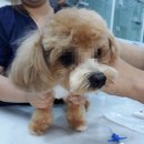 광교 우리들동물병원 이미지