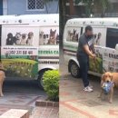 소중하개 이미지