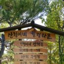 약초곰탕