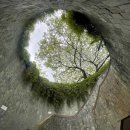 무지개공원2 이미지