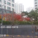 덕원교자 이미지