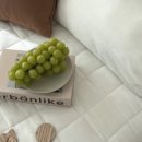 유목농장 이미지