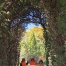 10월행사-드림파크 야생화단지 견학 이미지