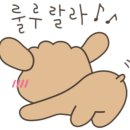 (주)소담소담