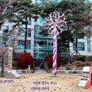 시선