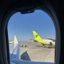 후사 | 일본 이시가키 2월 여행 아이와 후기 (후사키 리조트)