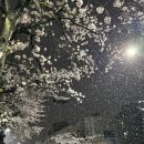 요리미치훈