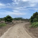 종달리삼거리 이미지