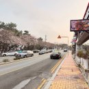 무한사랑 | [해운대] 꽃게와 사랑에 빠지다, 부산 게장 무한리필 맛집 솔직 후기 (메뉴·가격·주차)