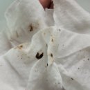 홈투홈토탈케어 이미지