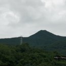 풍년과일 - 광명시 안재로1번안길 32 | 풍년과일