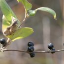 구월중학교 이미지