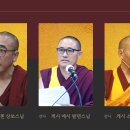 보리상사 Daum카페