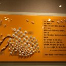 사람과바다 이미지