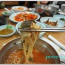 동해복어 이미지