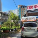 주정차 단속 - 053 이미지