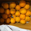 제명이 농장 이미지