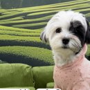 (주)네츄럴프로 이미지