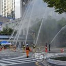 부산광역시청 이미지