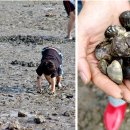 아라메 펜션 이미지