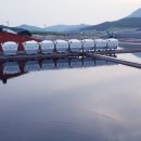 1004섬수석미술관 이미지