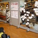 진보태양광발전소 이미지