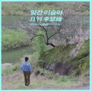 연재