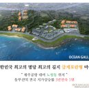 오션갤러리 이미지