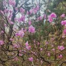 마석부동산공인중개사사무소 | 화도 ic 근처 화도읍 녹촌리 180p 근생 창고 임대 부동산