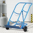 엘피지카 이미지