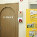 대구애견미용 강아지호텔 모여라솜뭉치 이미지