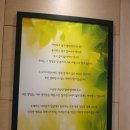 다툼으로 인해 기질,성격 검사 후 커플상담 받았어요 [유해피 아동청소년성인 심리상담센터 분당점 후기]