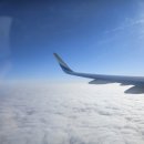 오션그랜드호텔 | 제주혼자여행 함덕해수욕장 숙소 오션그랜드호텔 디럭스오션뷰 2박 솔직후기