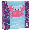 써니라이프 이미지