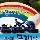 태권도상일체육관 Daum카페